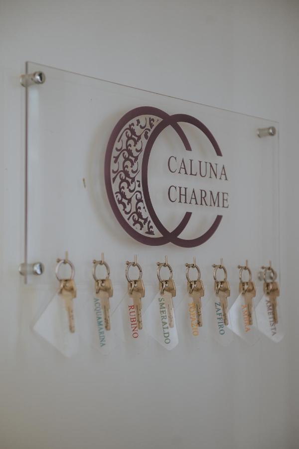 Hotel Caluna Charme San Giovanni a Piro Zewnętrze zdjęcie